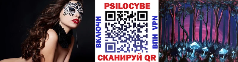 Псилоцибиновые грибы Cubensis Новохопёрск